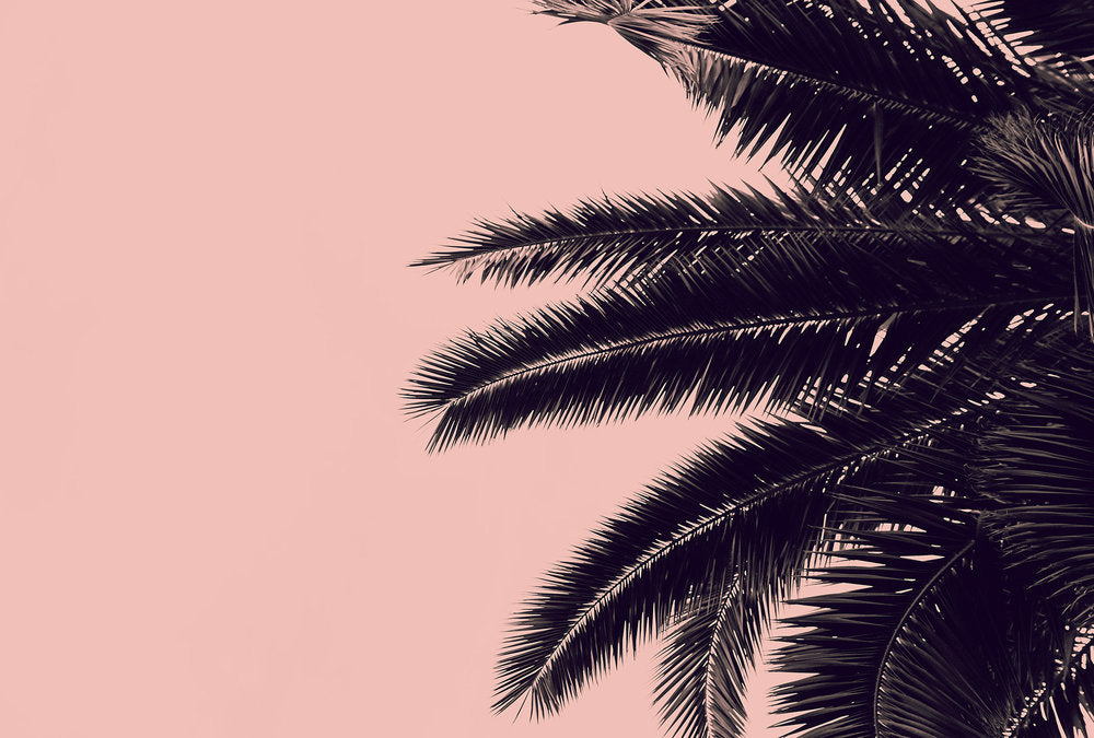 ARTist - Palm Tree digital print AS Creation Pink   119877