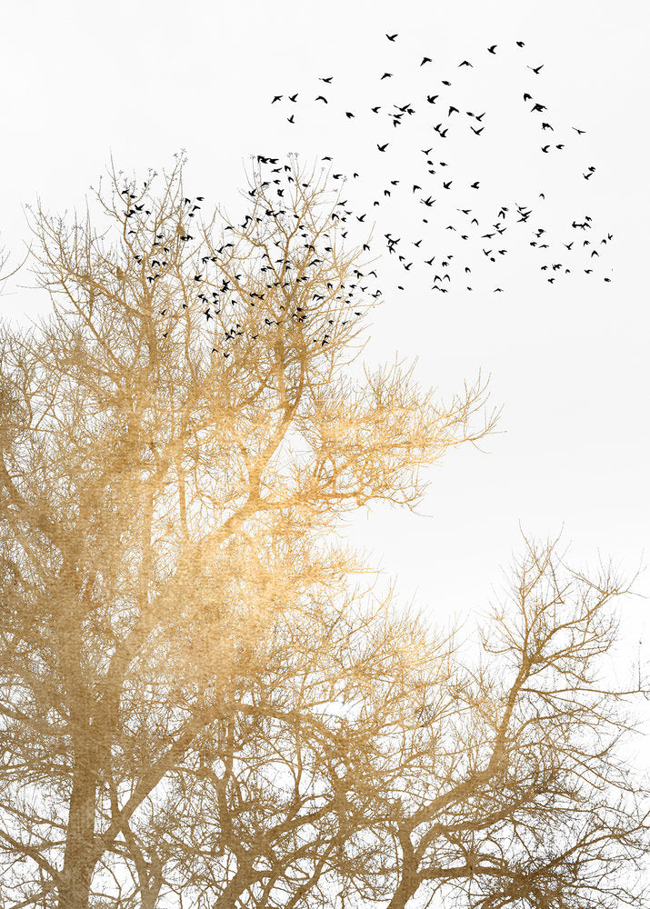 ARTist - Golden Skies digital print AS Creation Gold   119897