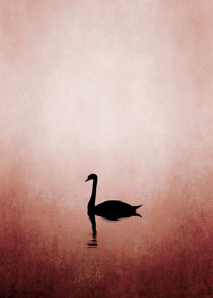 ARTist - Swan Lake digital print AS Creation Pink   119917