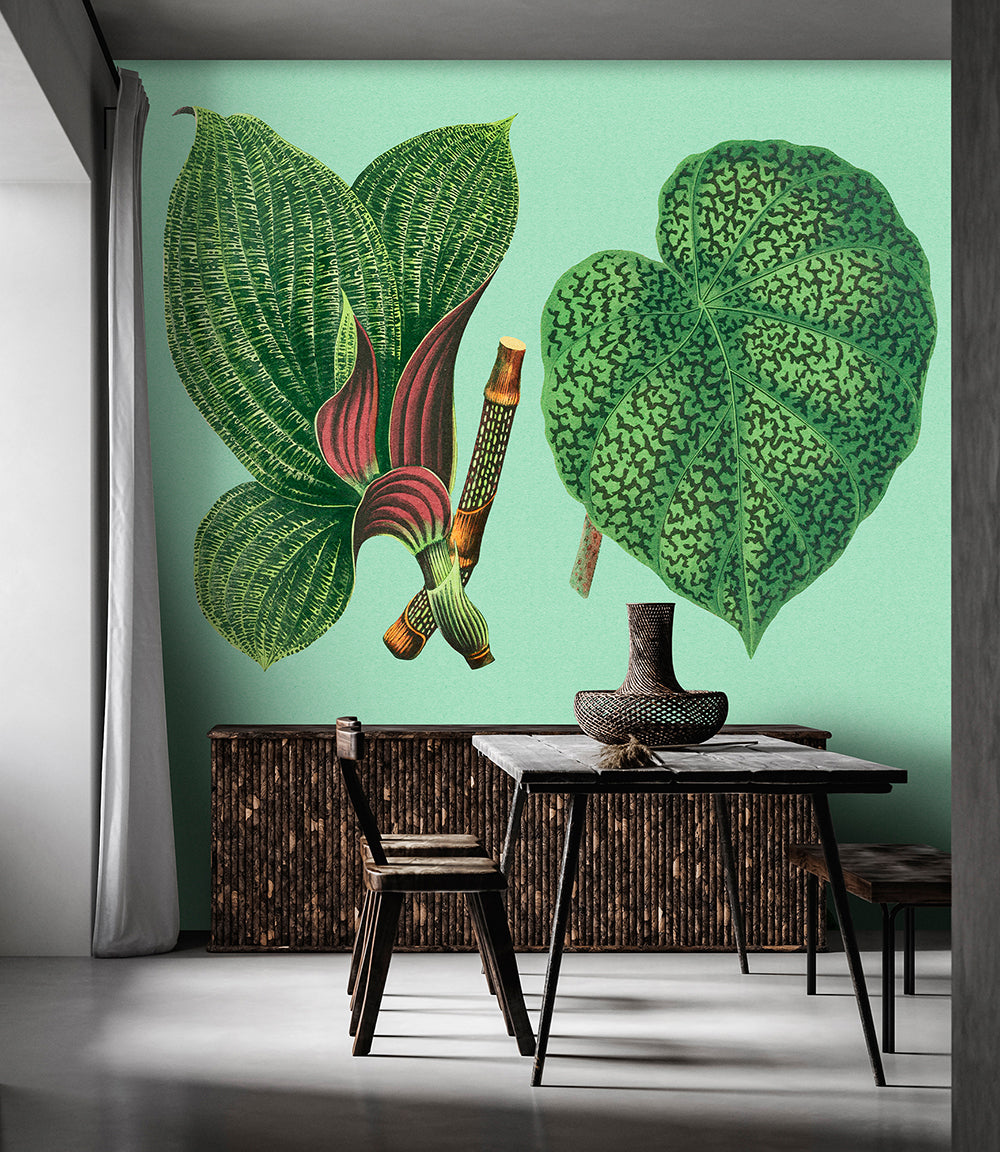 Walls by Patel 3 - Leaf Garden Caladium digital print AS Creation    