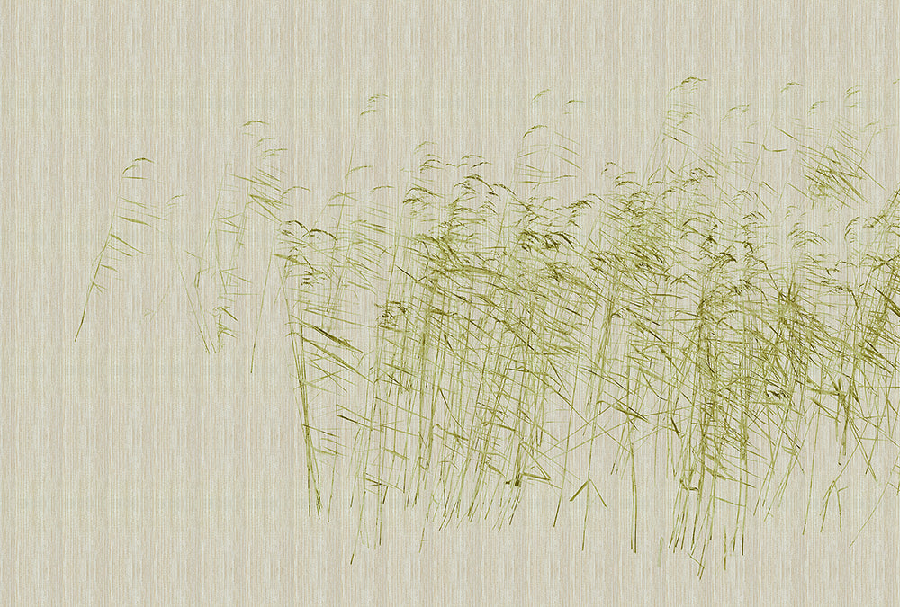 Walls by Patel 3 - At the Pond digital print AS Creation Green   DD122052
