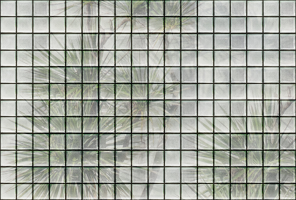 Walls by Patel 3 - Greenhouse Palm Trees digital print AS Creation Green   DD122072