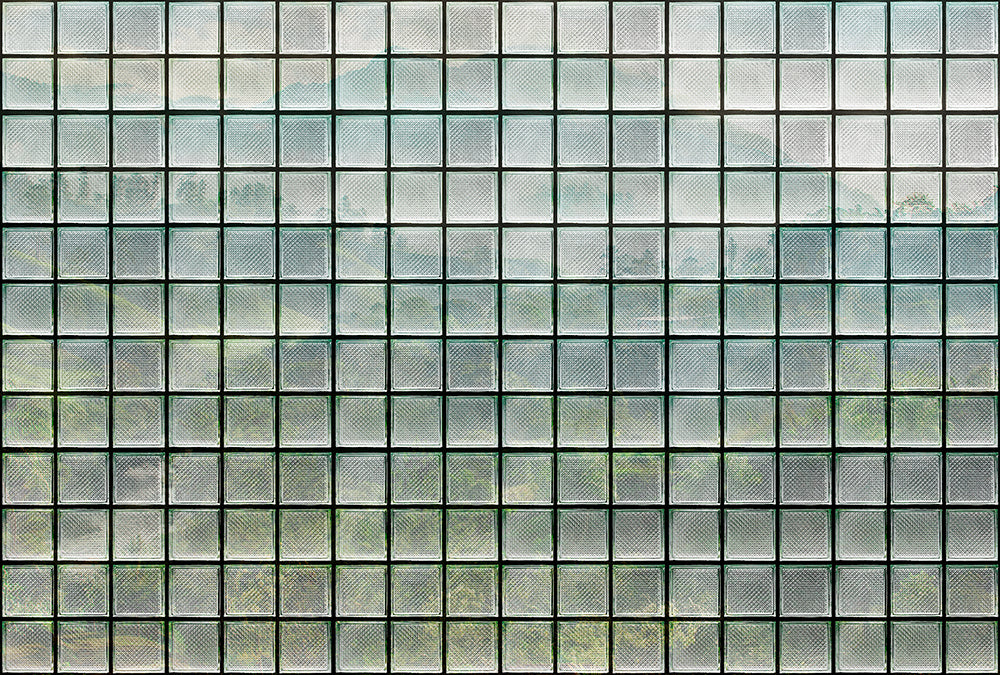Walls by Patel 3 - Greenhouse Forest digital print AS Creation Green   DD122080