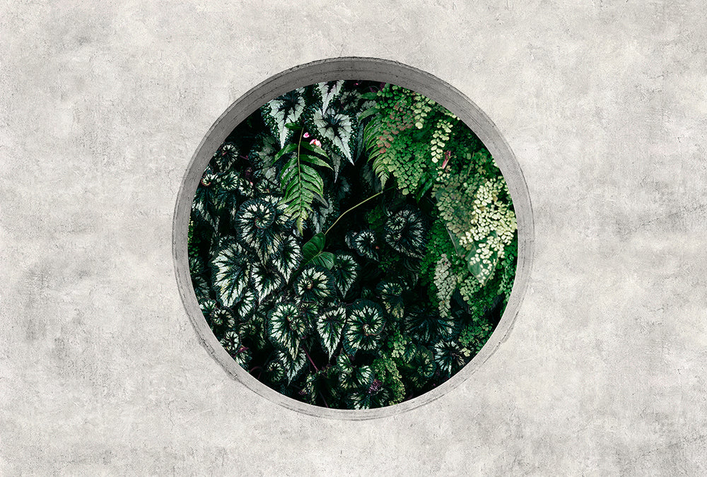 Walls by Patel 3 - Deep Green Window digital print AS Creation Grey-Green   DD122092