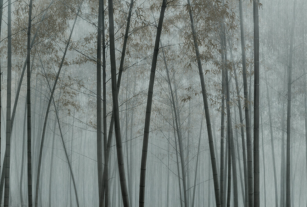 Walls by Patel 3 - In the Bamboo digital print AS Creation Brown-Grey   DD122100