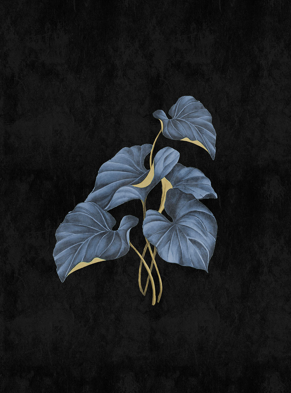 Walls by Patel 3 - Fiji Anthurium digital print AS Creation Blue   DD122500