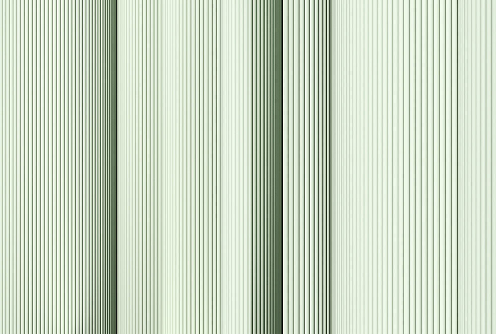 Walls by Patel 3 - Magic Wall digital print AS Creation Green   DD122648