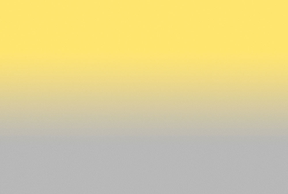 Walls by Patel 3 - Colour Studio digital print AS Creation Yellow-Grey   DD122660
