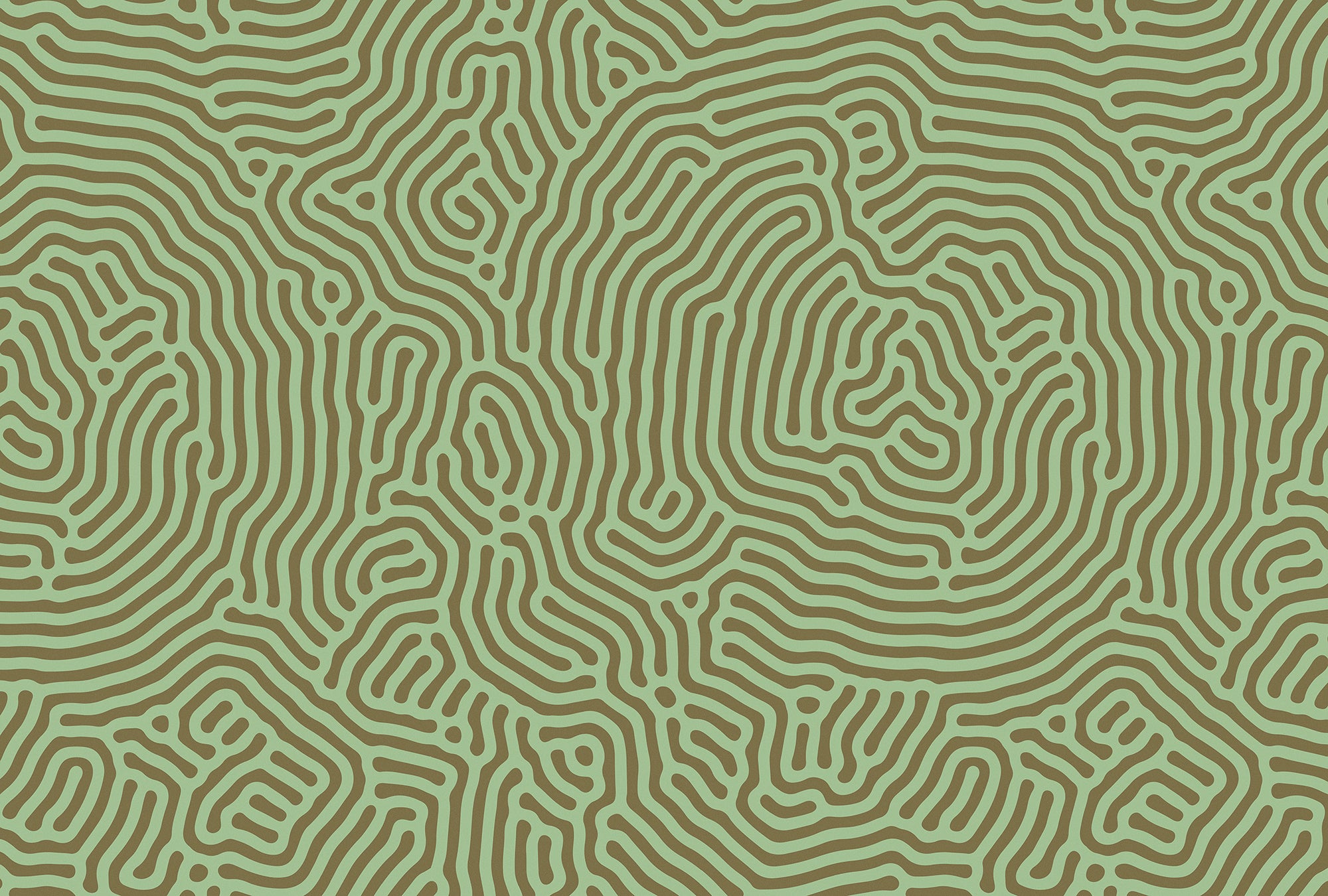 Walls by Patel 3 - Sahel Maze Green digital print AS Creation Green   DD122844