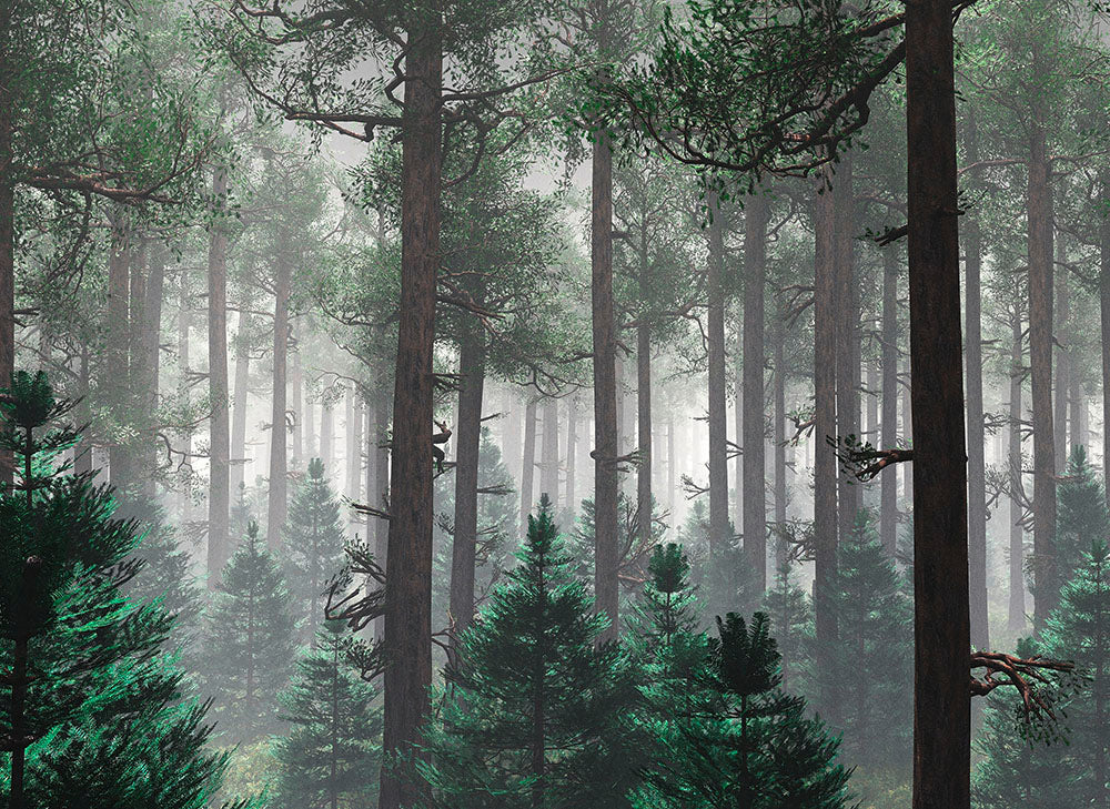 Designwalls 2 - Trees in Fog digital print AS Creation Grey   DD123521