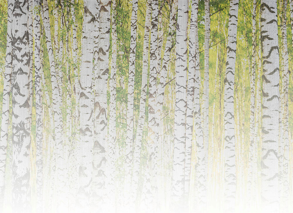 Designwalls 2 - Birch Forest digital print AS Creation Green   DD123528