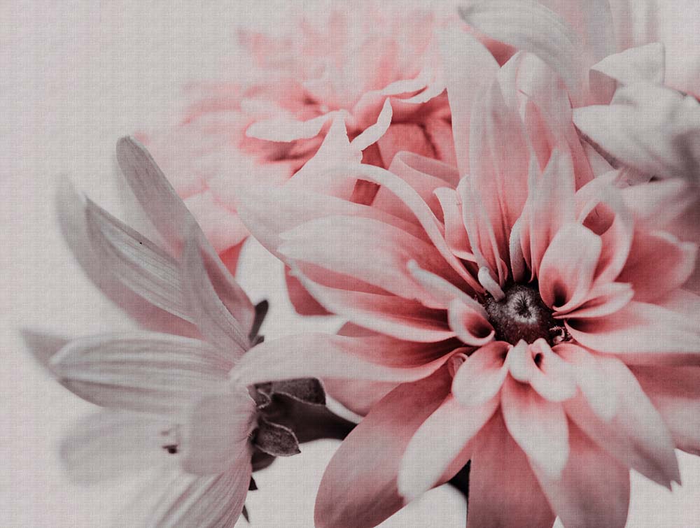 The Wall - Floral Blooms smart walls AS Creation Default Title   382701