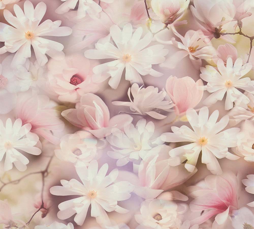 Pint Walls - Meadow Flowers botanical wallpaper AS Creation Roll Pink  387222