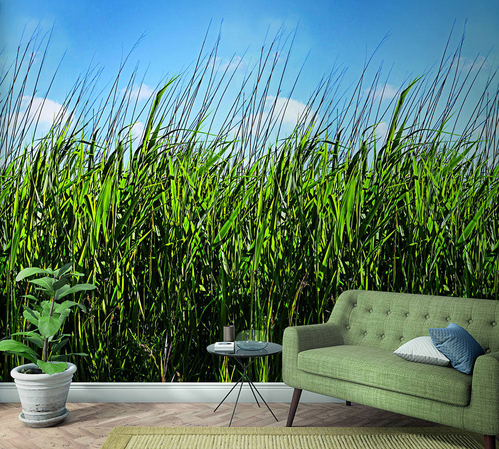 Smart Art Easy - Grass Meadow smart walls Marburg    