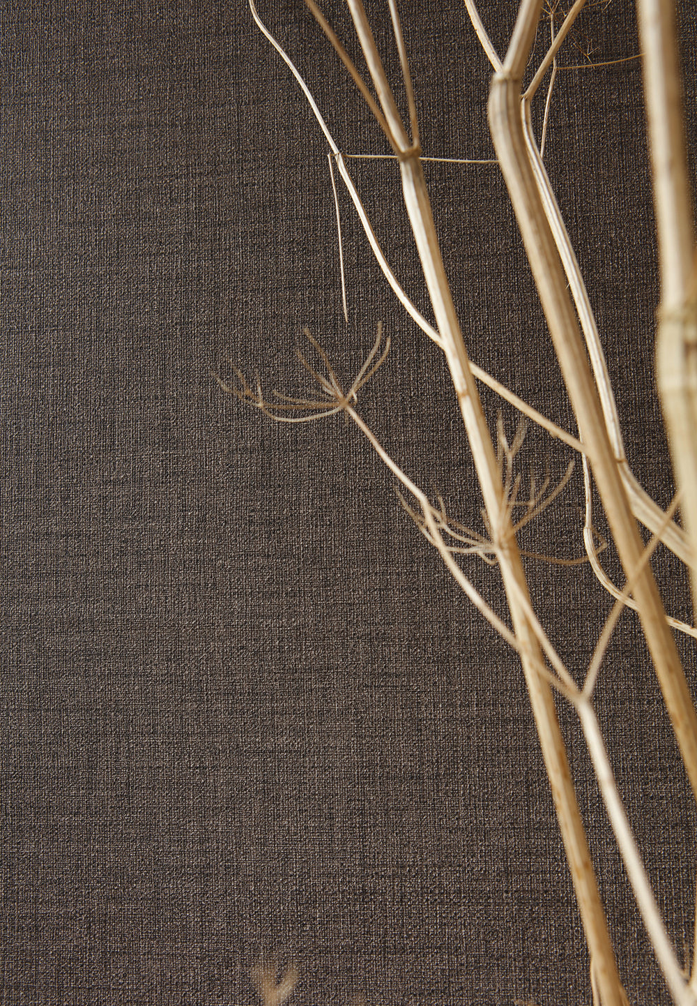 Desert Lodge - Linen Texture plain wallpaper AS Creation    
