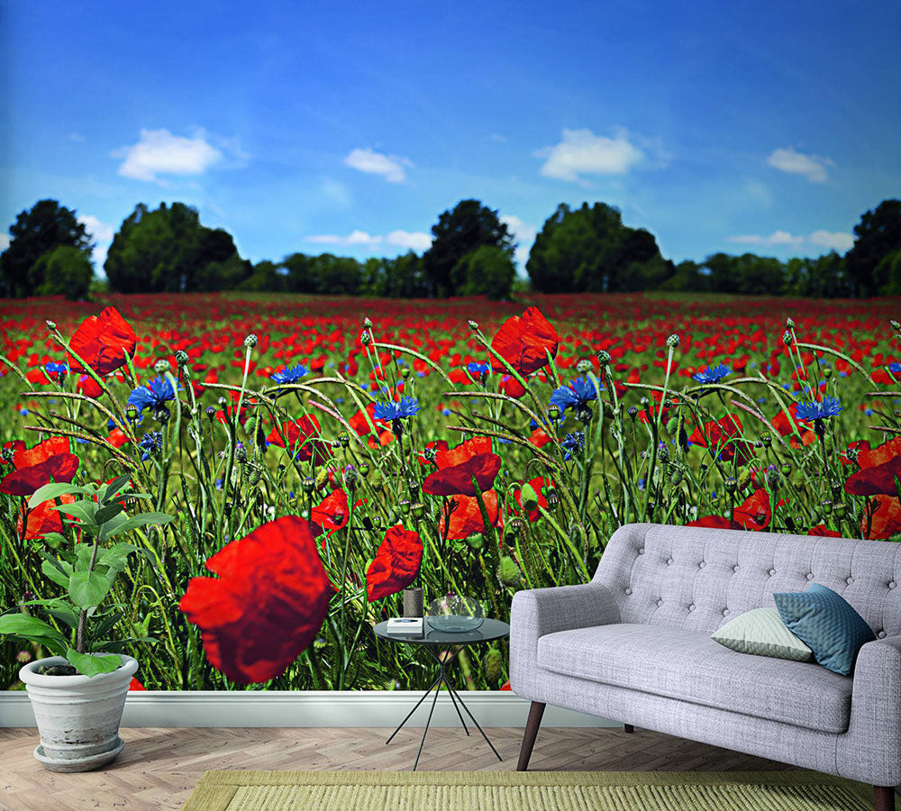 Smart Art Easy - Poppy Meadow smart walls Marburg    