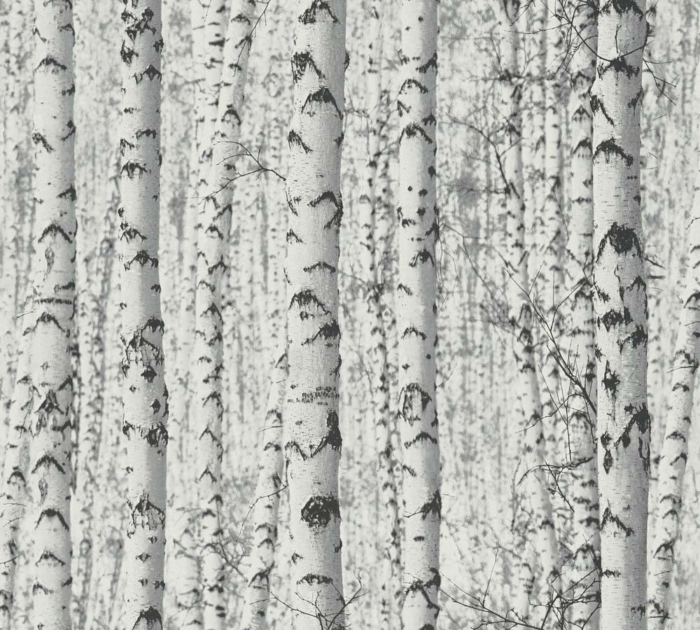 Pint Walls - Birch Trees botanical wallpaper AS Creation Roll White  387191