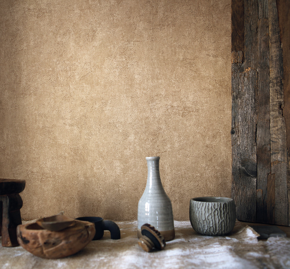 Desert Lodge - Washed Concrete plain wallpaper AS Creation    