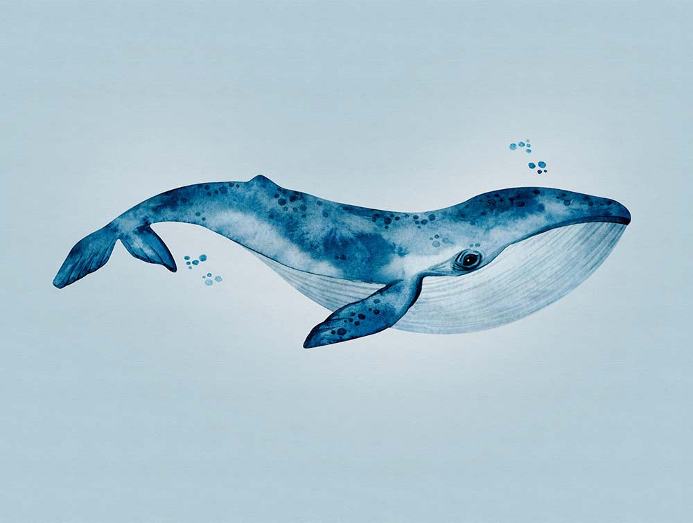 The Wall - Watercolour Whale smart walls AS Creation    