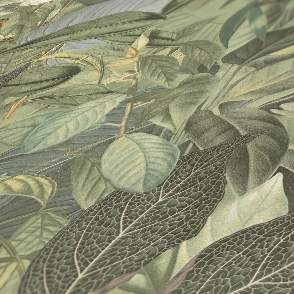 Pint Walls - Jungle botanical wallpaper AS Creation    
