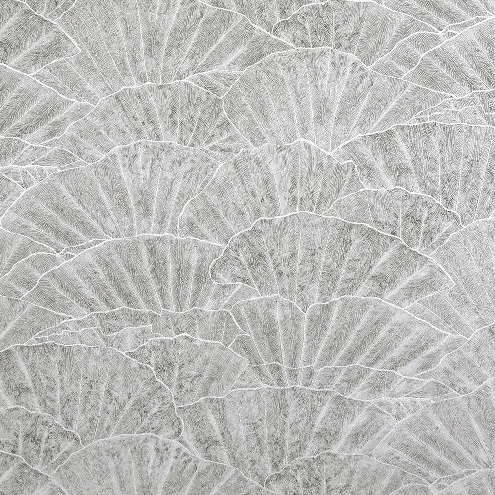 Feel - Seashell botanical wallpaper Hohenberger Roll Grey  65002-HTM