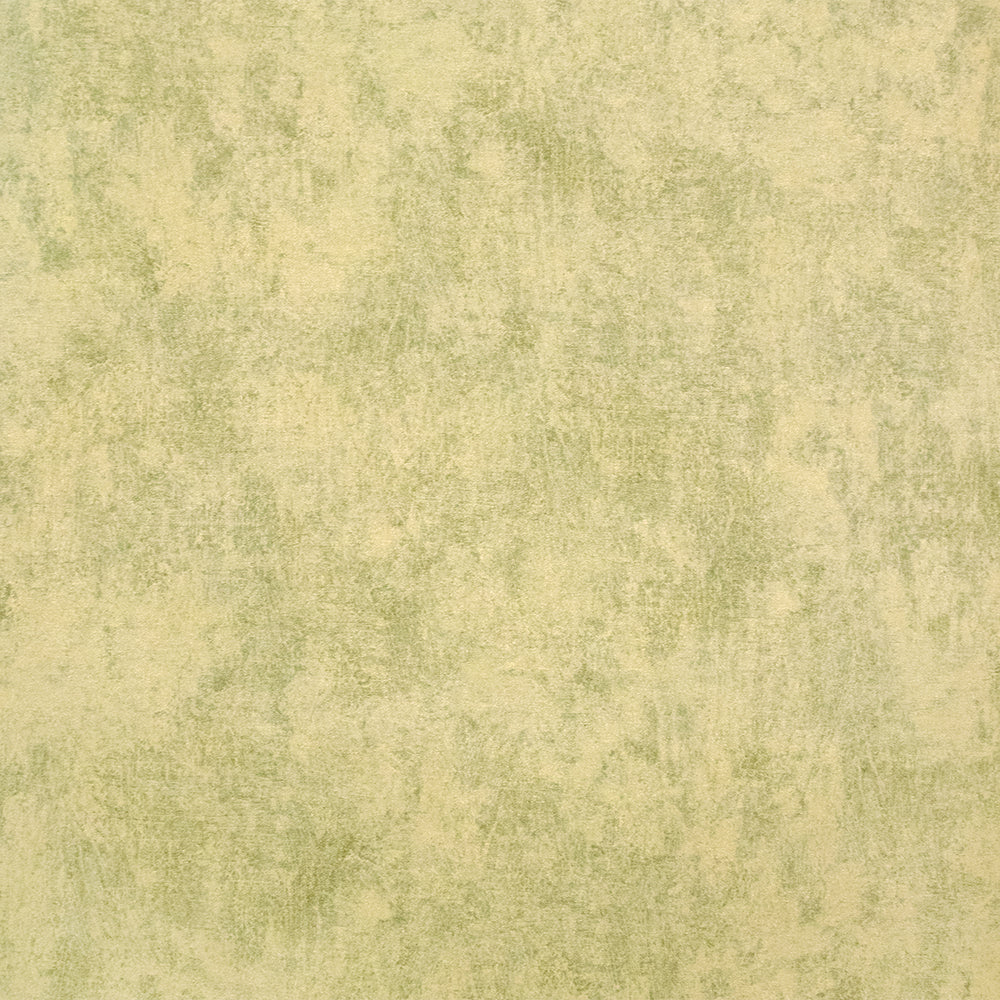 Julie Feels Home - Monstera Plain plain wallpaper Hohenberger Roll Lime  26944-HTM