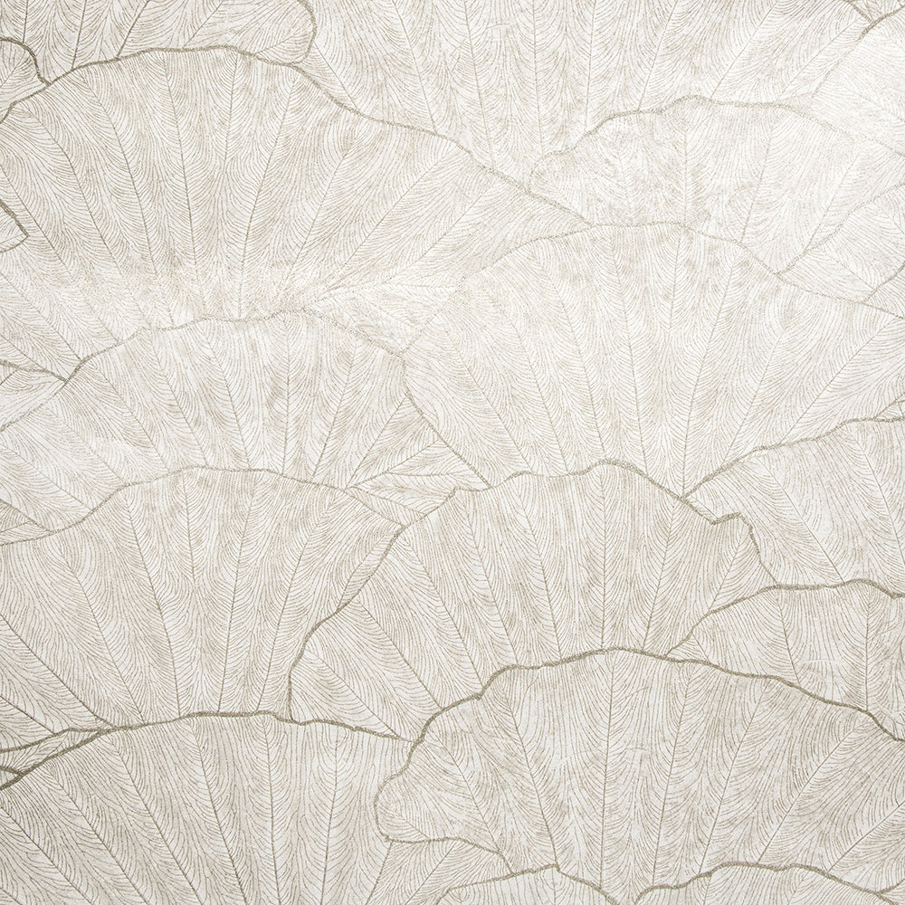 Feel - Seashell botanical wallpaper Hohenberger Roll Cream  65004-HTM