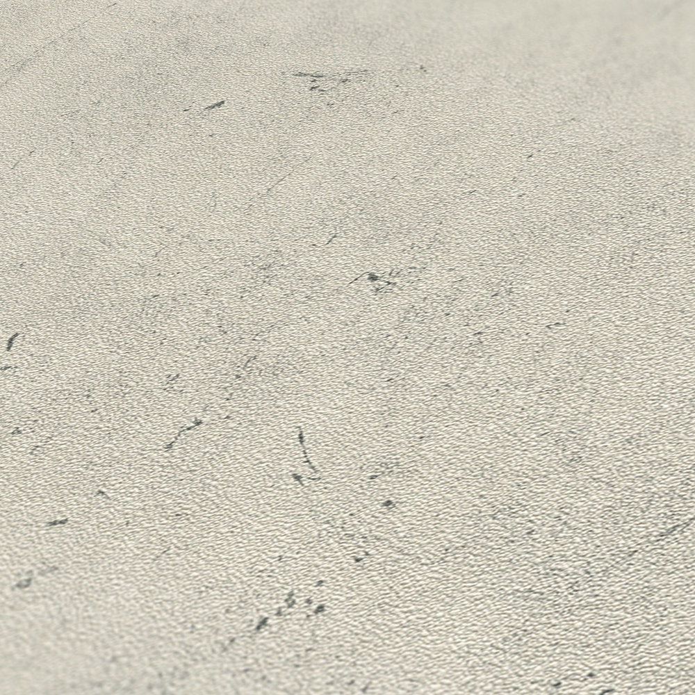 Industrial Elements - Artisanal Concrete plain wallpaper AS Creation    