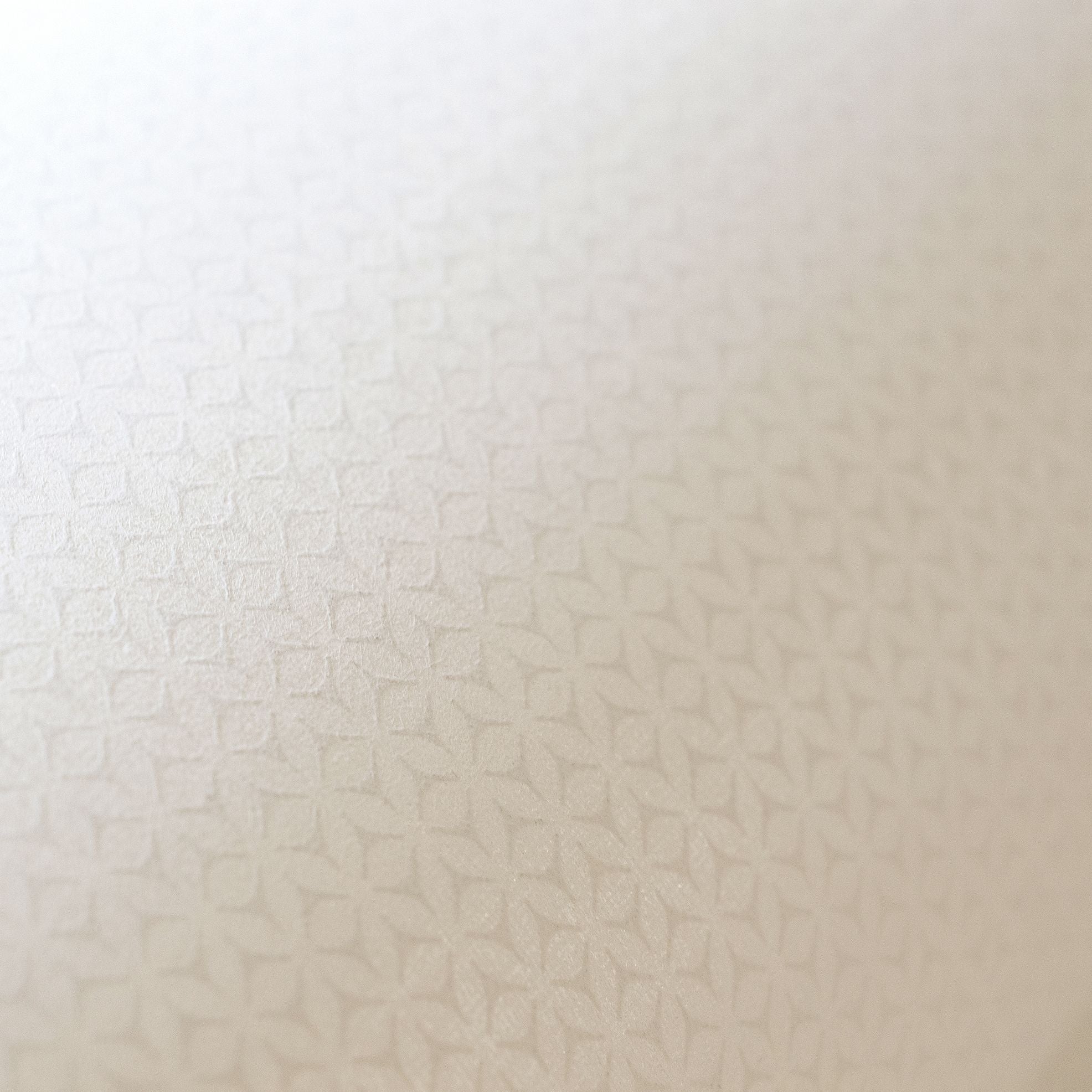 Urban Classics - Haga bold wallpaper Hohenberger    
